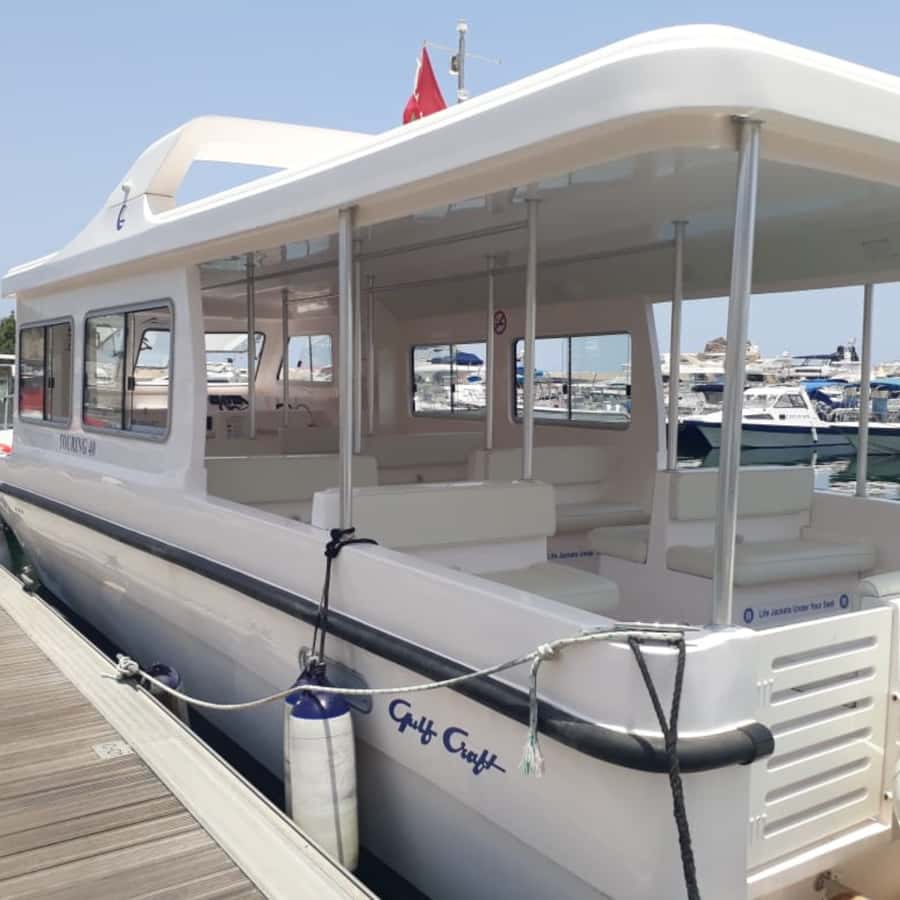 Muscat: Dolphin Watching and Snorkeling Trip - How the guiding and group atmosphere affect the trip