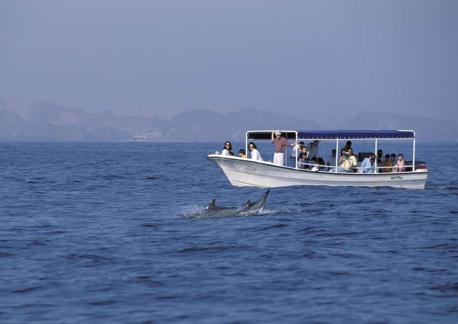 Muscat: Dolphin Watching Boat Amazing Trip - Weather, waves, and seasickness