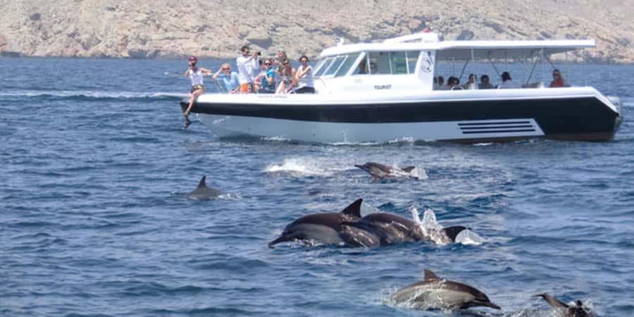Muscat: Dolphin Watching Boat Tour - What the two-hour Muscat dolphin trip is really like
