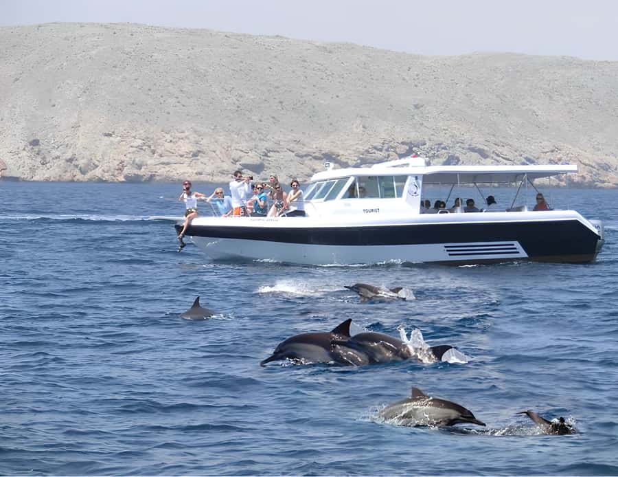 Muscat: Dolphin Watching Boat Trip with Snacks & Local Guide - The First Search for Dolphins