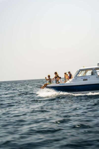 Muscat: Dolphin Watching Boat Trip with Snacks & Local Guide