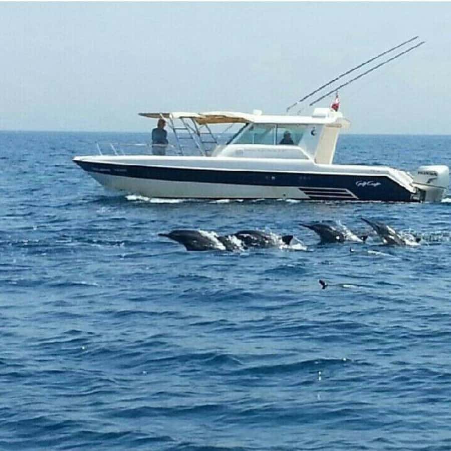 Muscat: Dolphin Watching Boat Trip with Snacks & Local Guide - Booking, Payment, and Cancellation