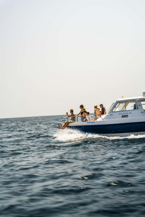 Muscat: Dolphin Watching Boat Trip with Snacks & Local Guide - Seeing the Coast Beyond the Wildlife