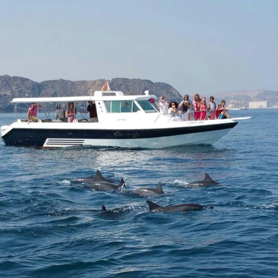 Muscat Dolphin Watching & Coastal Sightseeing Tour - The first coastal views from the van