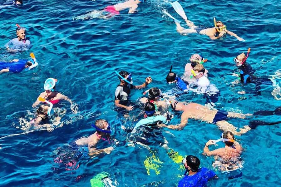Muscat: Snorkeling and Dolphin Watching Tour - What the three-hour schedule feels like
