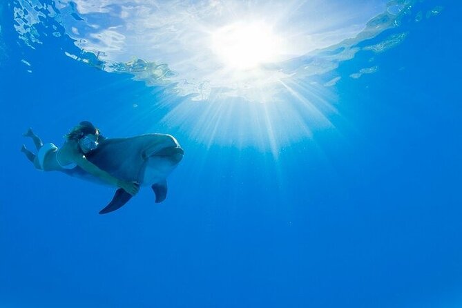 Must-DO The only and Unique Natural Space Dolphin Encounter Cabo - Key points to know before booking