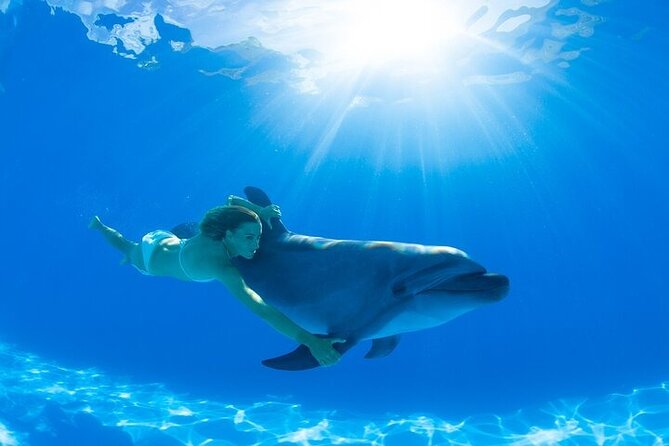 Must-DO The only and Unique Natural Space Dolphin Encounter Cabo - Why the group limit matters