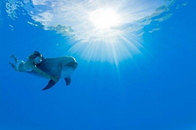 Must-DO The only and Unique Natural Space Dolphin Encounter Cabo - A good choice for families and birthday outings