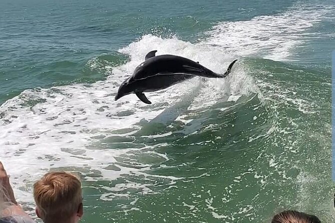 Myrtle Beach Dolphin Cruise - A family outing with an unusually lively crew
