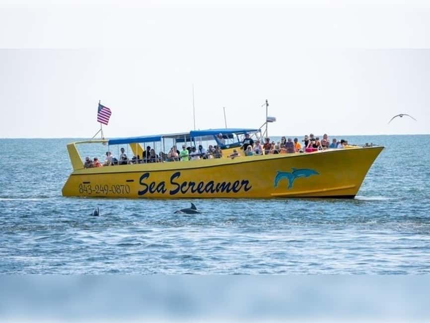 Myrtle Beach: Dolphin Cruise on the Sea Screamer - The Atlantic run is the real thrill