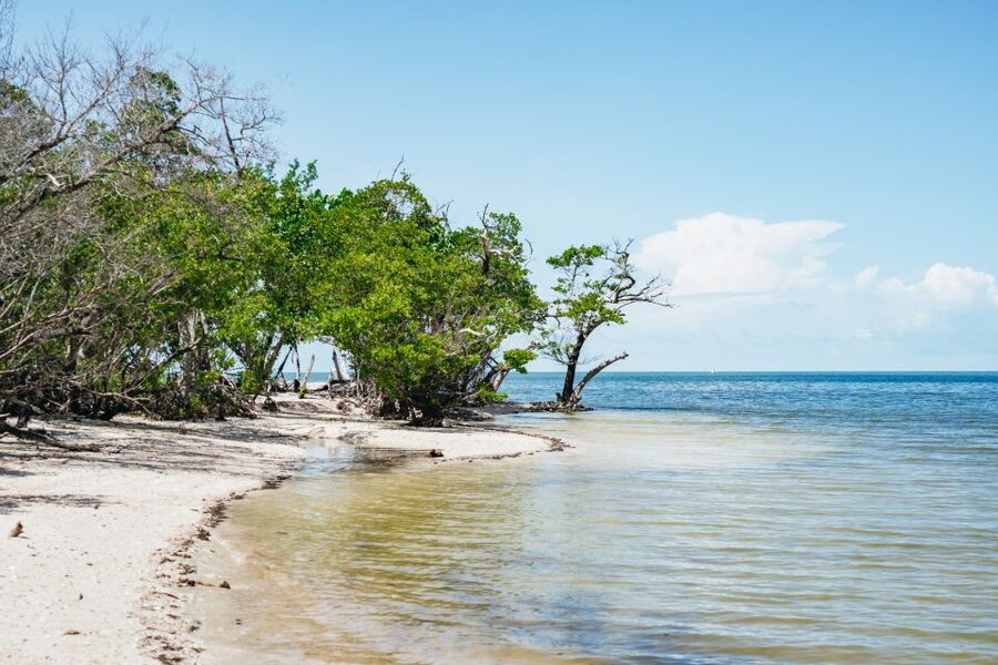 Naples, FL: Manatee, Dolphin, 10,000 Islands Beach Eco Tour - Whitehorse Island and the three-hour rhythm