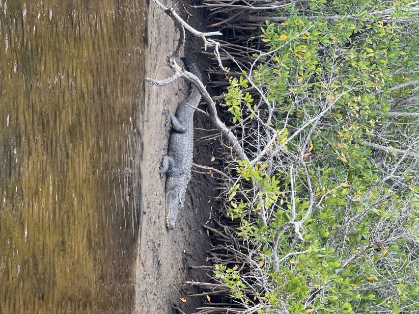 Naples, FL: Manatee, Dolphin, 10,000 Islands Beach Eco Tour - Is $129 a fair price?