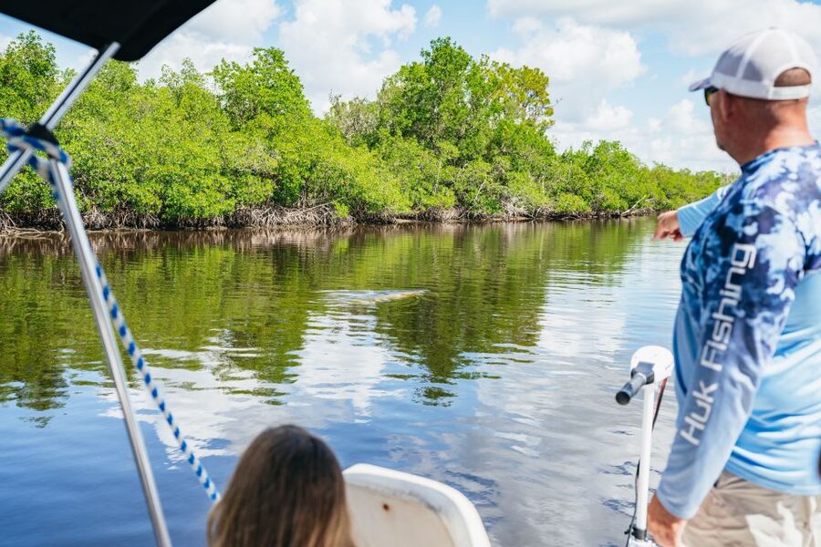 Naples, FL: Manatee, Dolphin, 10,000 Islands Beach Eco Tour - My call: book it for variety, not certainty