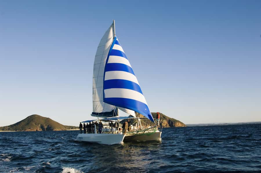 Nelson Bay: Dolphin Watch Cruise and Sail - The 90-minute dolphin search