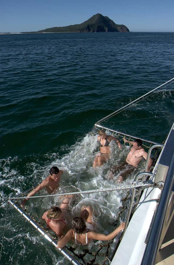 Nelson Bay: Dolphin Watch Cruise and Sail - The return trip under sail