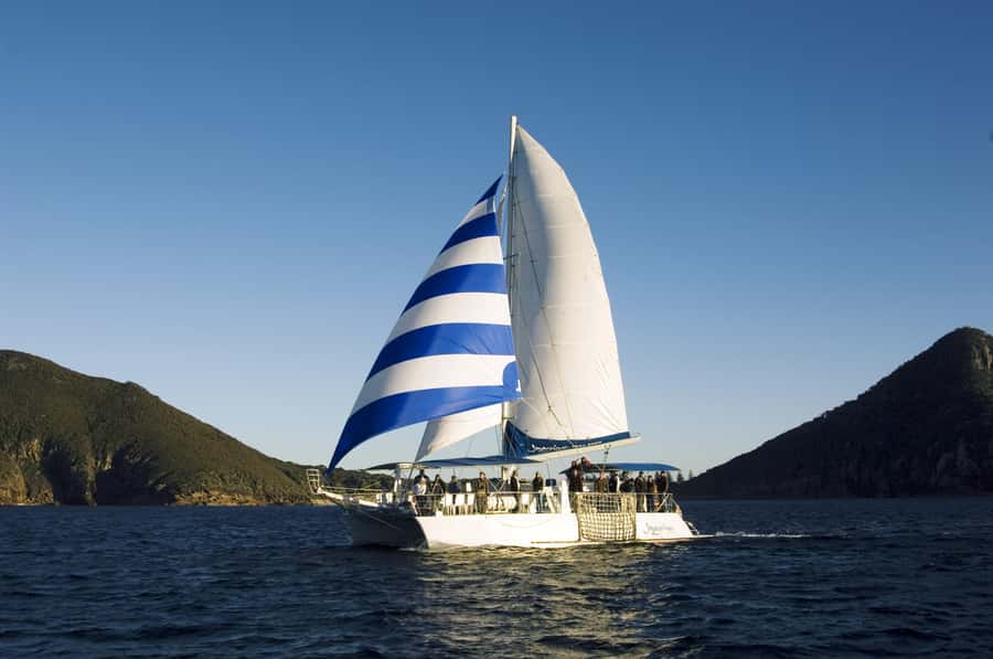 Nelson Bay: Dolphin Watch Cruise and Sail - Who will enjoy Imagine most