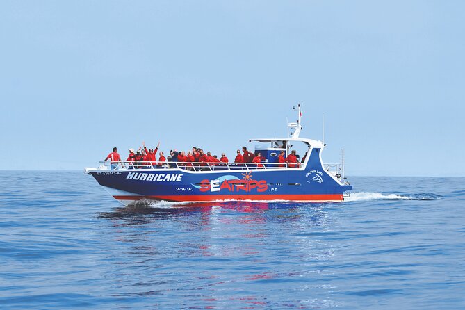 NEW Lagos-Watching Dolphins and Benagil Cave with Biologists - Key Points to Know Before You Book