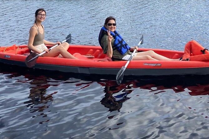 New Smyrna Dolphin and Manatee Kayak and SUP Adventure Tour - Who should book this paddle