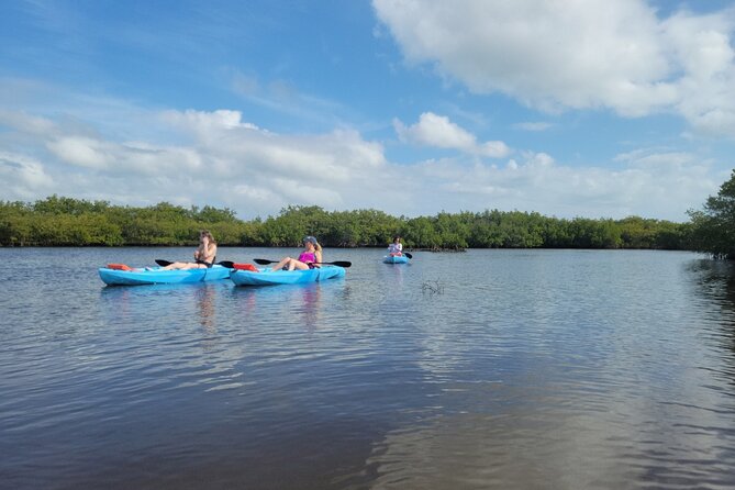 New Smyrna Dolphin and Manatee Kayak and SUP Adventure Tour - Mangroves, bridges, and the question of scenery