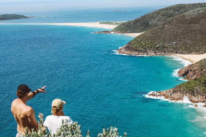 Newcastle: Port Stephens day tour - Dolphins, hike & swim! - A 1.5-hour cruise in search of bottlenose dolphins