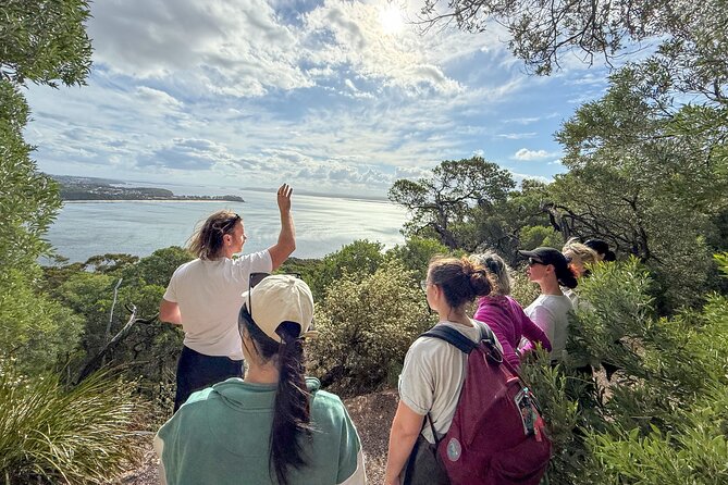 Newcastle: Port Stephens day tour - Dolphins, hike & swim! - Fish and chips at Aussie Bob’s