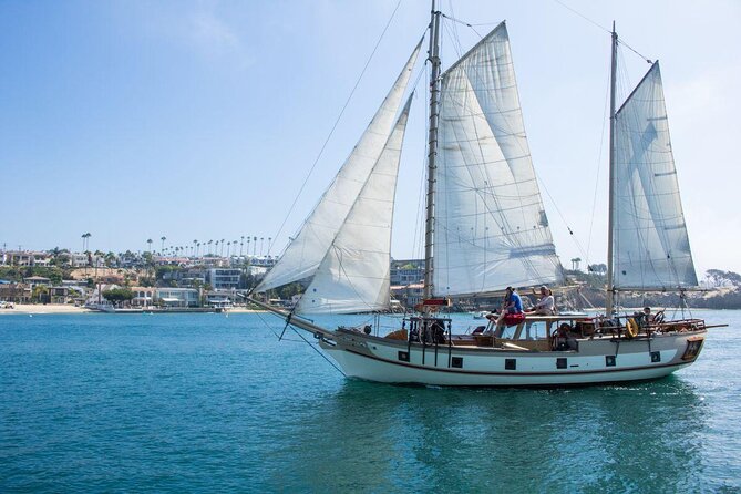 Newport Beach: Whale and Dolphin-Watching Cruise - Quick points before you book