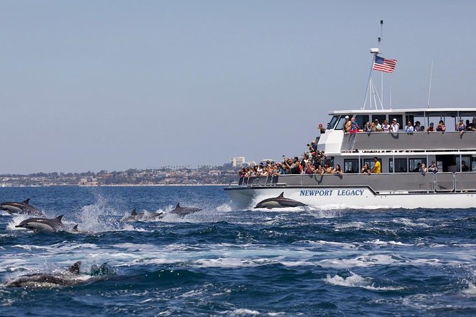 Newport Beach: Whale and Dolphin-Watching Cruise - Laguna Beach and The Wedge on the way back