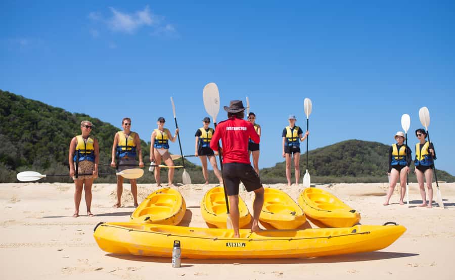 Noosa: Epic Ocean Kayak with Dolphins & 4WD Beach Adventure - Launching near Honeymoon Bay