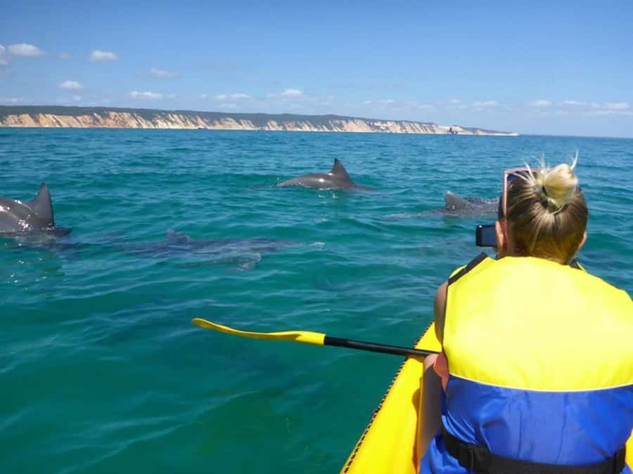 Noosa: Epic Ocean Kayak with Dolphins & 4WD Beach Adventure - Guides who shape the day