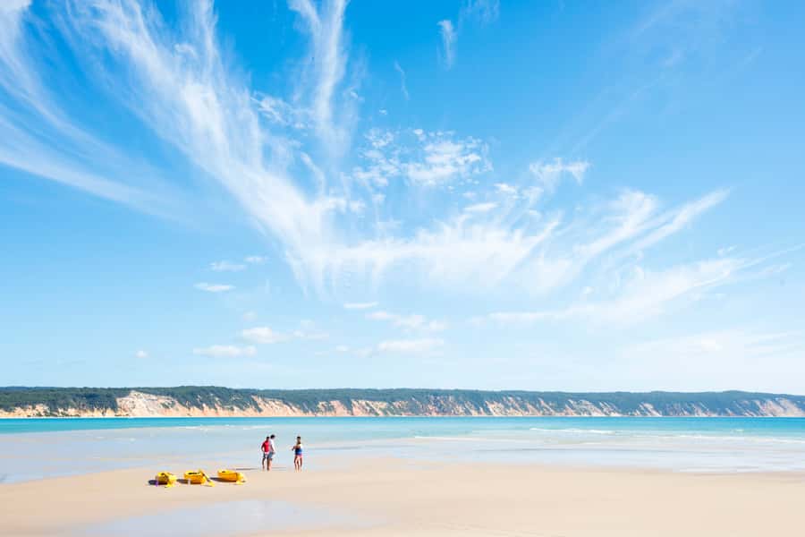 Noosa: Epic Ocean Kayak with Dolphins & 4WD Beach Adventure - Who should book this outing?