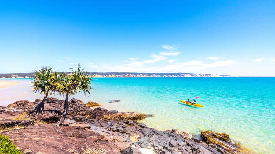 Noosa: Epic Ocean Kayak with Dolphins & 4WD Beach Adventure - The trade-offs worth weighing
