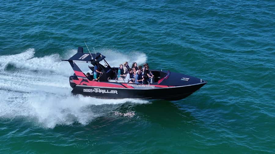 Noosa: Noosa Ocean Adventure with Dolphin Watching - Leaving the dock aboard Thriller