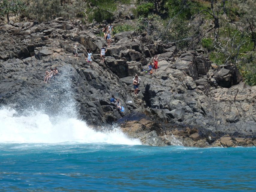 Noosa: Noosa Ocean Adventure with Dolphin Watching - Practical tips for a better ride