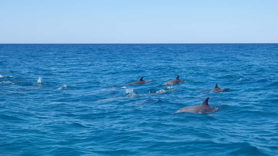 Noosa: Noosa Ocean Adventure with Dolphin Watching - Arriving in Noosaville and getting ready