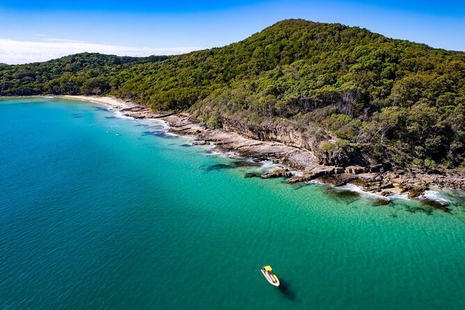 Noosa ocean adventure & Dolphin safari. - From Noosa Marina to the mouth of the river