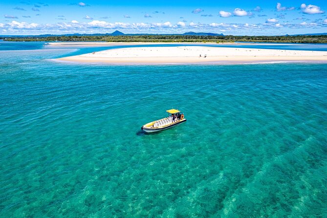 Noosa ocean adventure & Dolphin safari. - Dolphins, turtles, whales, and the limits of wildlife watching