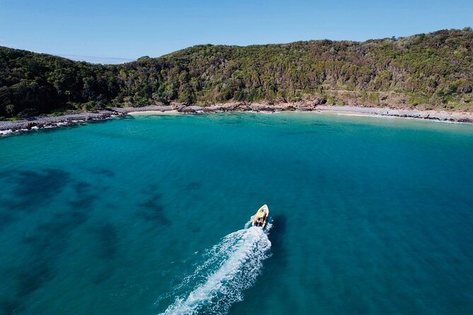 Noosa ocean adventure & Dolphin safari. - Safety, comfort, and what to wear