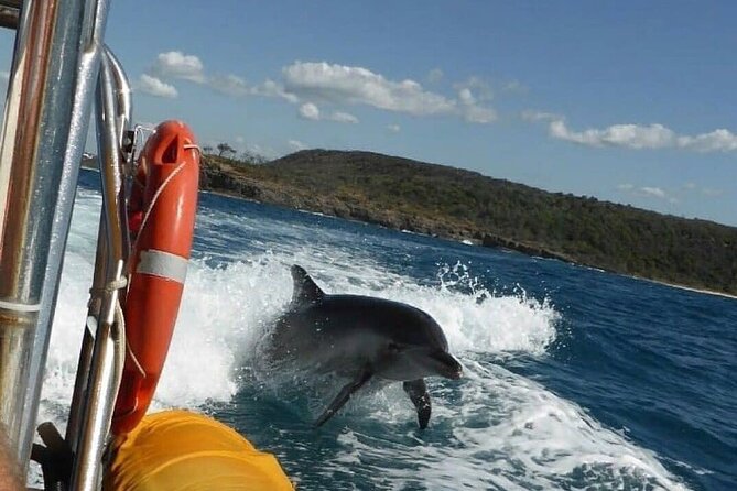 Noosa ocean adventure & Dolphin safari. - Crossing into Laguna Bay for the fast section