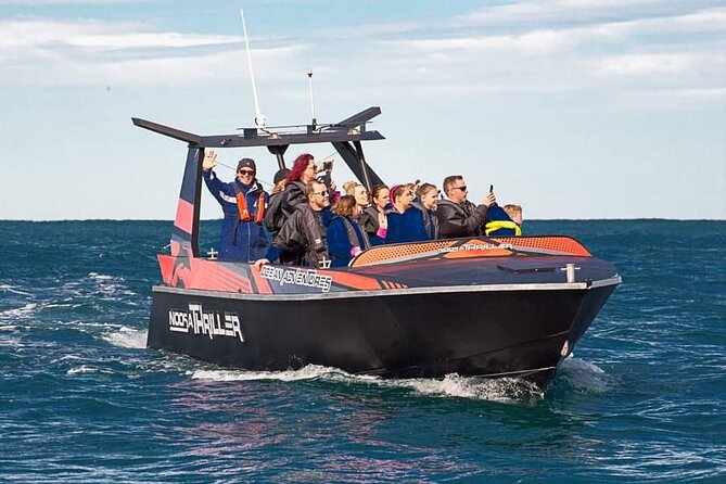 Noosa Ocean Adventures: Dolphins - Key points at a glance