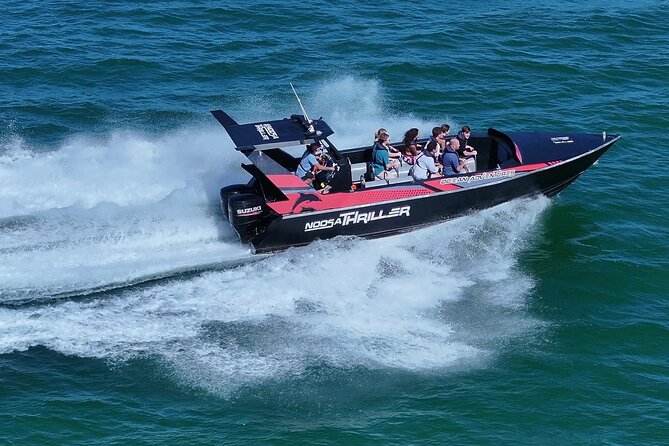 Noosa Ocean Adventures: Dolphins - Noosa National Park from the ocean