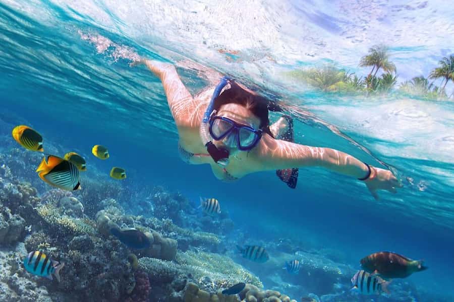 North Bali: Dolphin, Ulun Danu Temple, & Banyumala Waterfall - Finding dolphins in the open sea