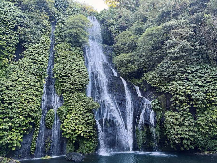 North Bali: Dolphin, Ulun Danu Temple, & Banyumala Waterfall - Snorkeling after the dolphin search