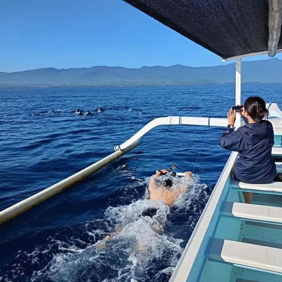 North Bali : Sunrise Dolphin Trip at Lovina Beach - Why Lovina makes a good change from South Bali