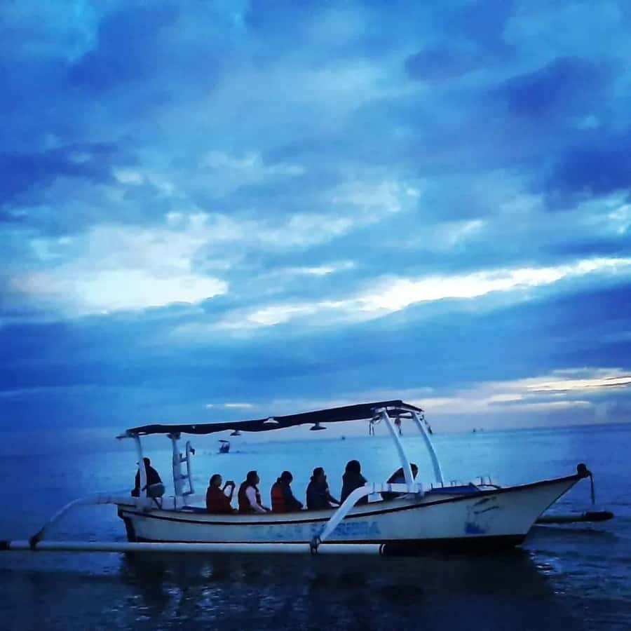 North Bali : Sunrise Dolphin Trip at Lovina Beach - Adding snorkeling and blue coral