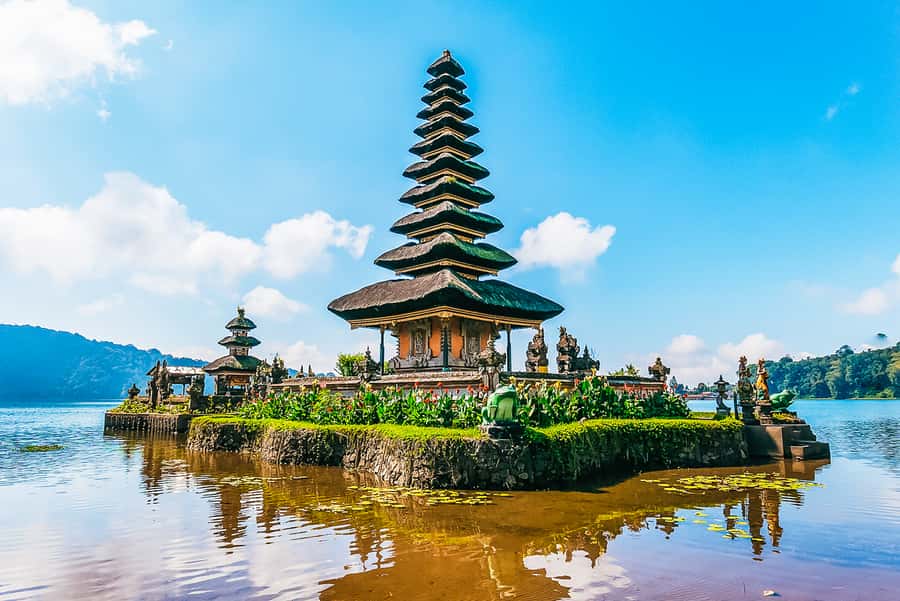 North Bali: Sunrise Tour with Dolphins, Waterfalls & Temples - What the $55 price really covers