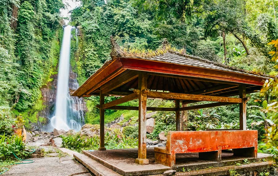 North Bali: Sunrise Tour with Dolphins, Waterfalls & Temples - How to prepare for the day