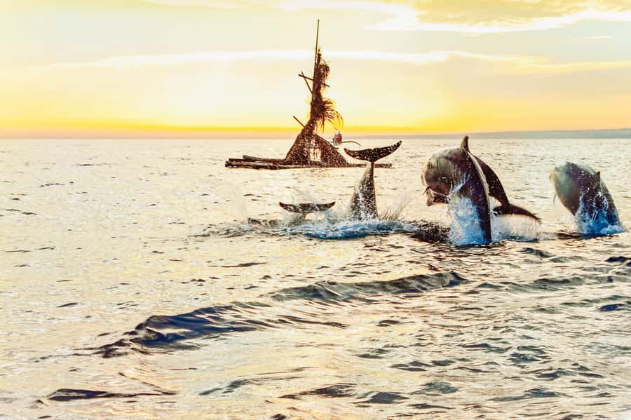 North Bali: Sunrise Tour with Dolphins, Waterfalls & Temples - Who should book this North Bali tour?