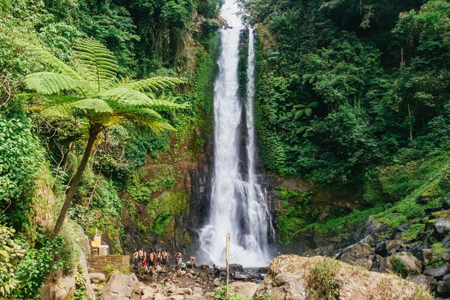 North Bali: Sunrise Tour with Dolphins, Waterfalls & Temples - The long drive through North Bali