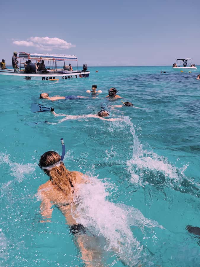 Nungwi: Dolphins,snokerlling &/or sunset cruising tour - Kizimkazi and the search for dolphins