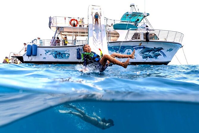 Oahu Dolphin and Snorkel Tour with Waikiki Pickup & Lunch - From Waikiki to Waianae Harbor